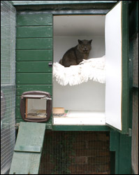 Boarding Cattery unit accommodation