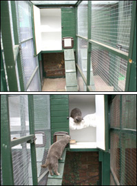 Boarding cattery accommodation