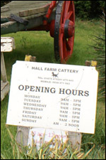 Hall Farm Cattery opening times